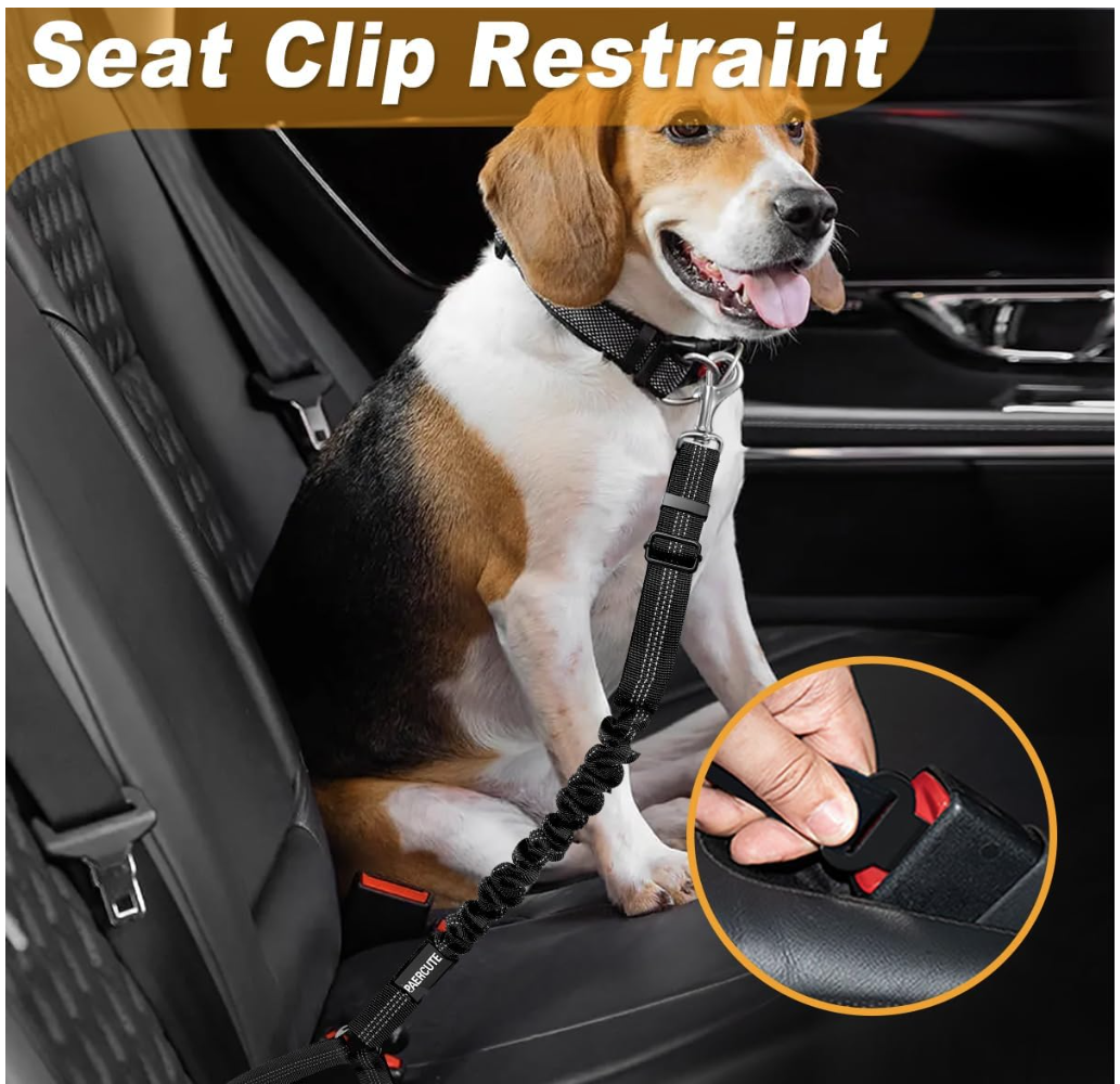 BungeeStrap Pro™ - Bungee Restraint with Seatbelt