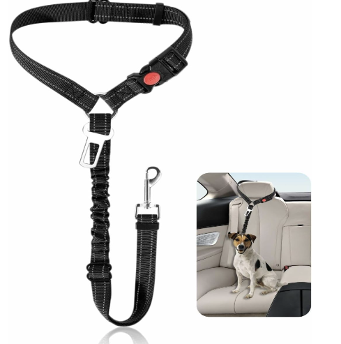 BungeeStrap Pro™ - Bungee Restraint with Seatbelt